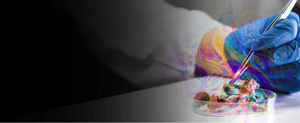 Someone wearing blue rubber gloves uses tweezers to lift cannabis. A colorful distortion is overlayed on top of the cannabis.